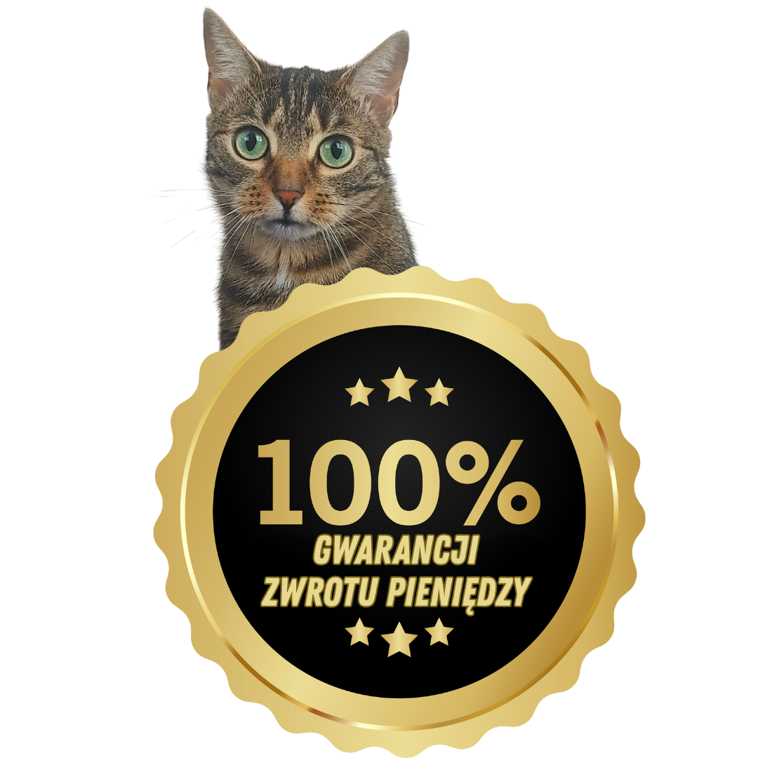 Kot potwierdza gwarancję