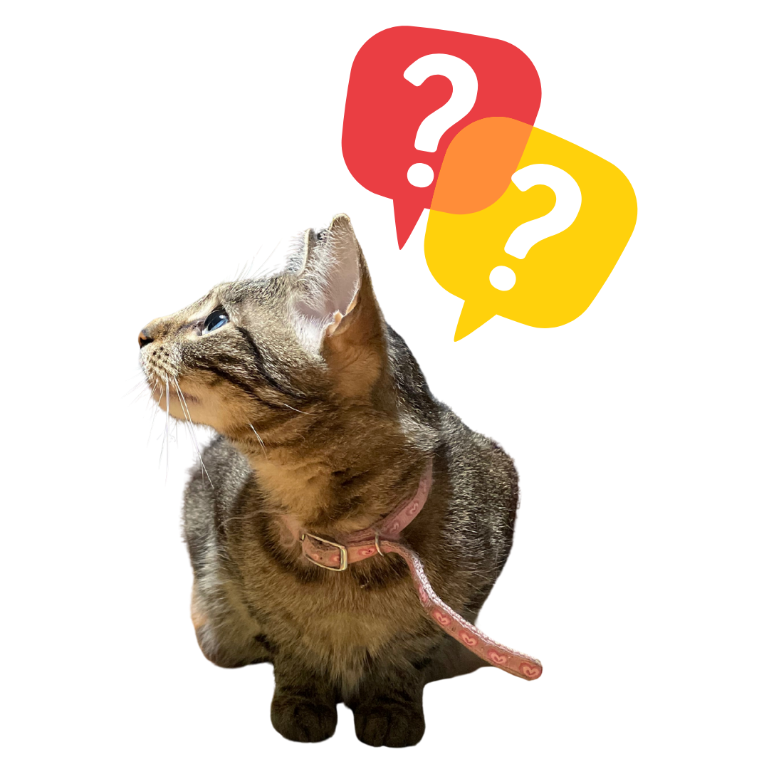 Rozwiewamy wątpliwości — Mat.master