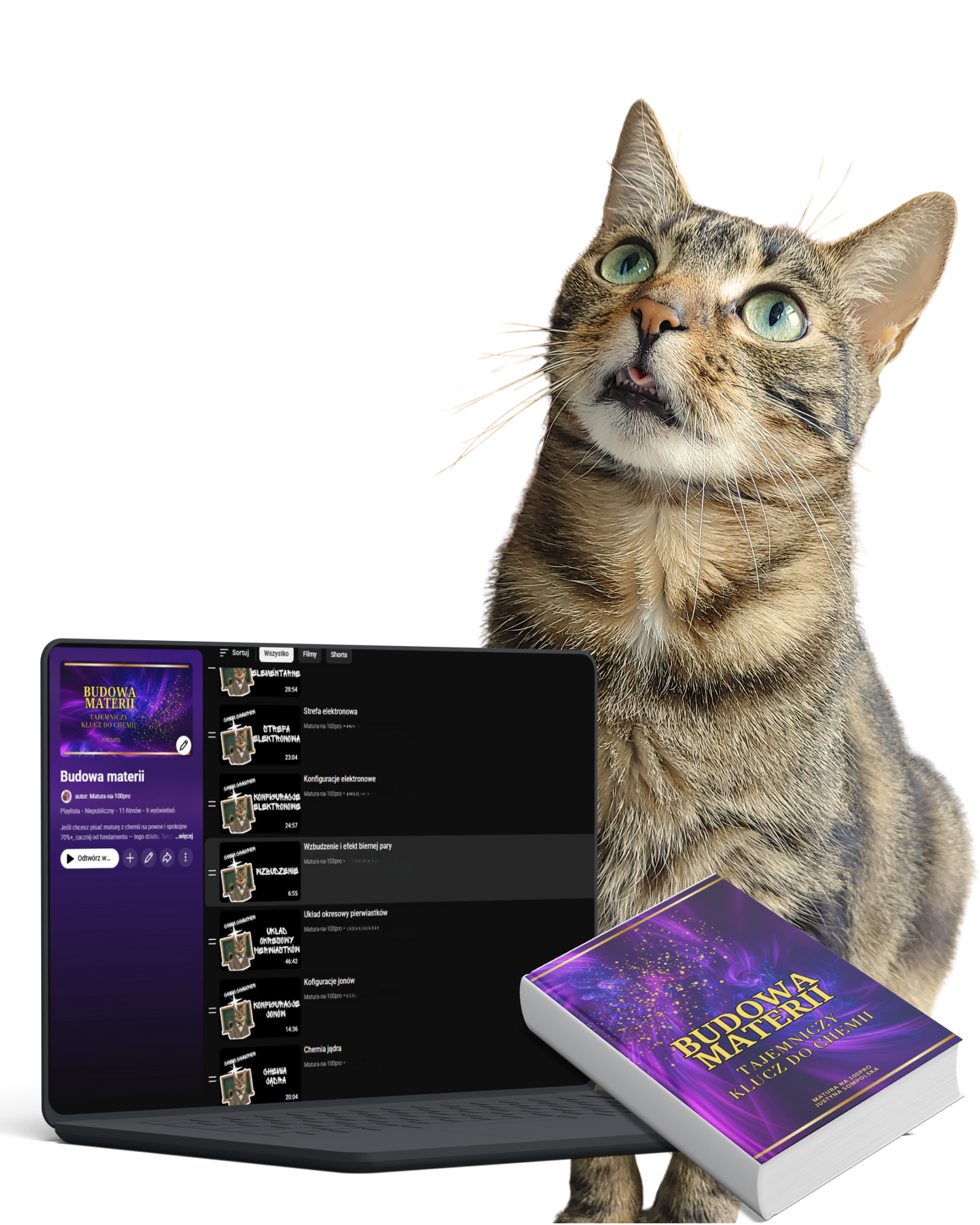 Profesor Paputki tłumaczy chemię