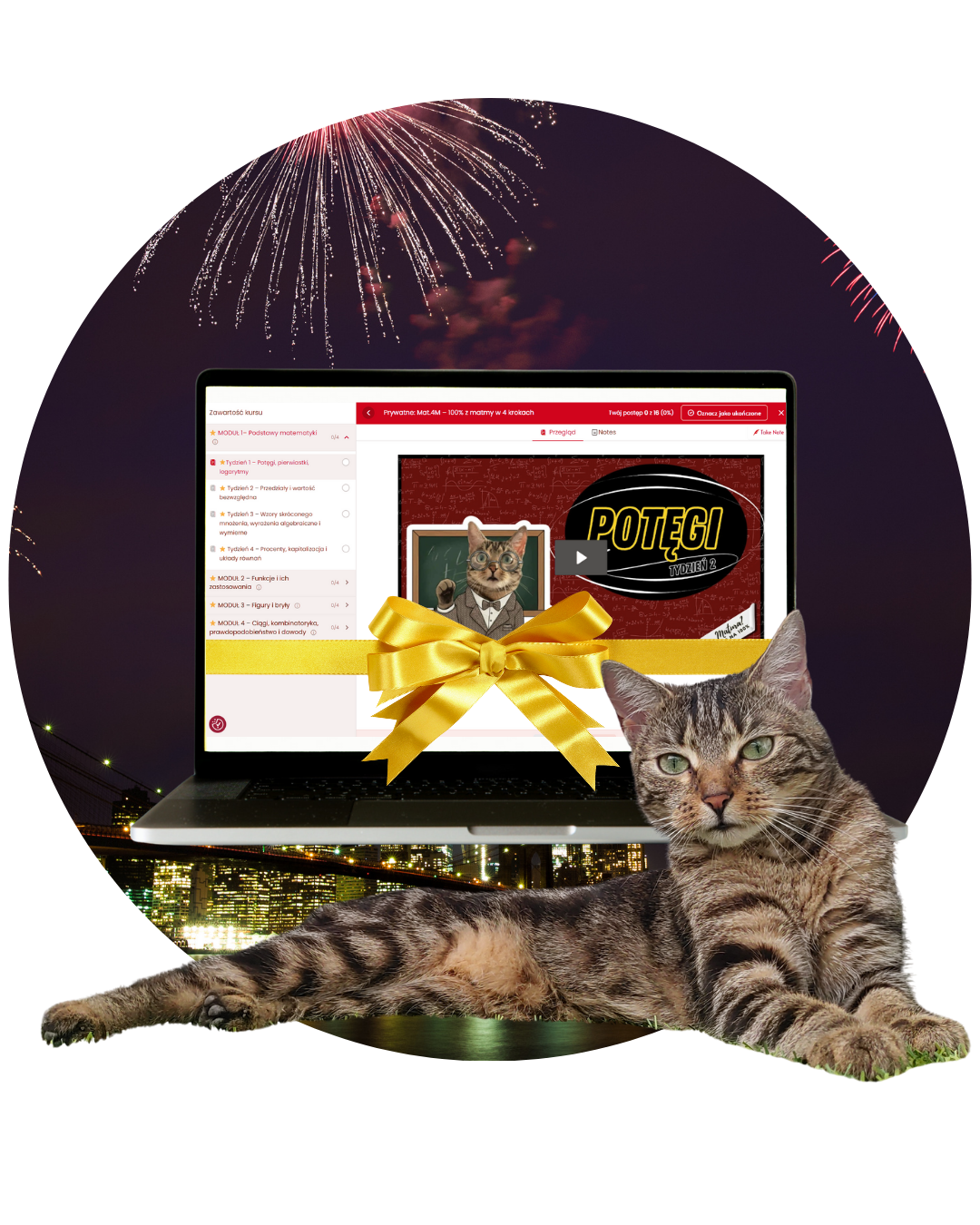 Profesor Paputki – promocja