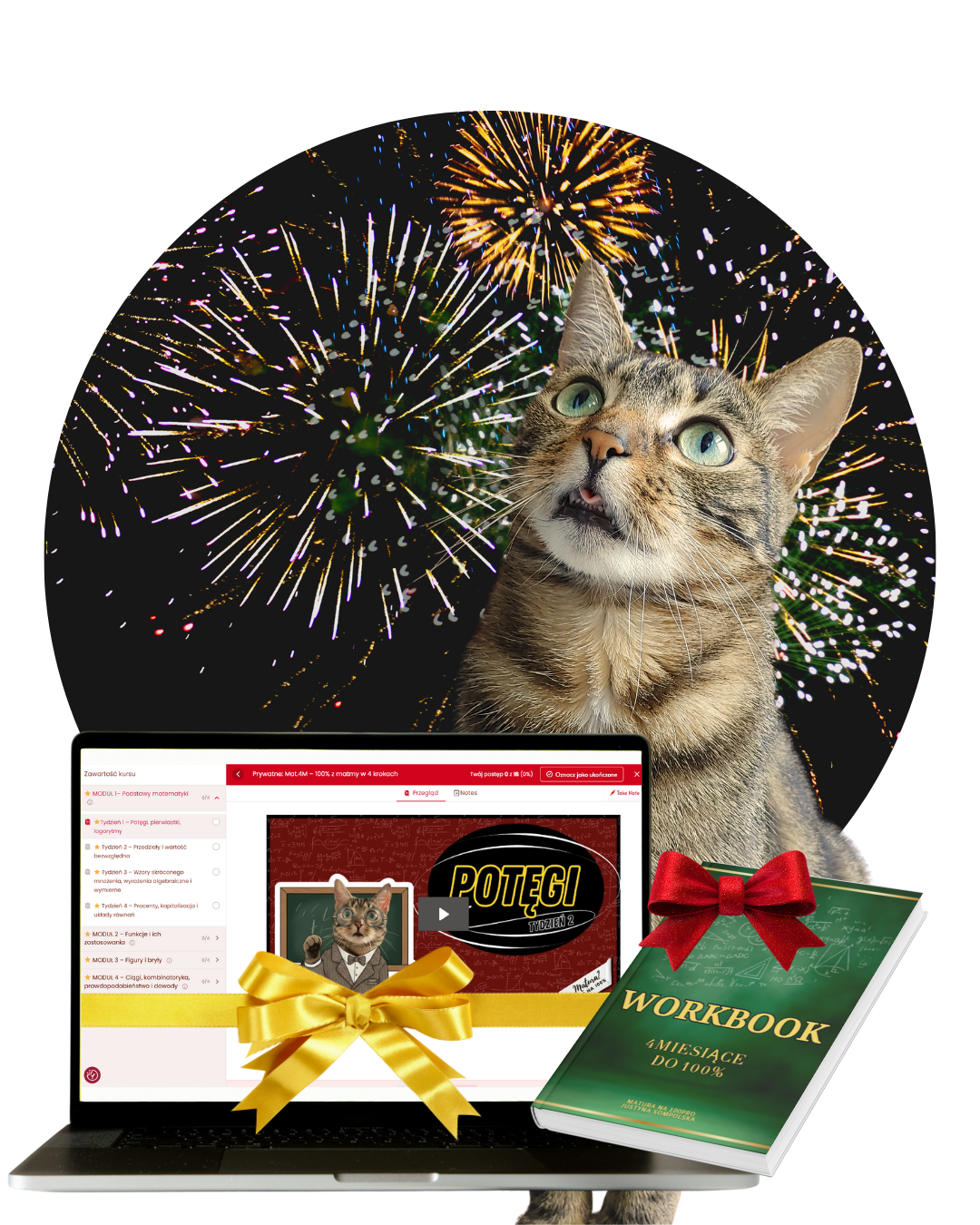 Profesor Paputki – promocja