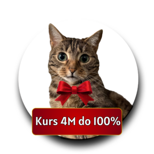 4M do 100% Podstawowy