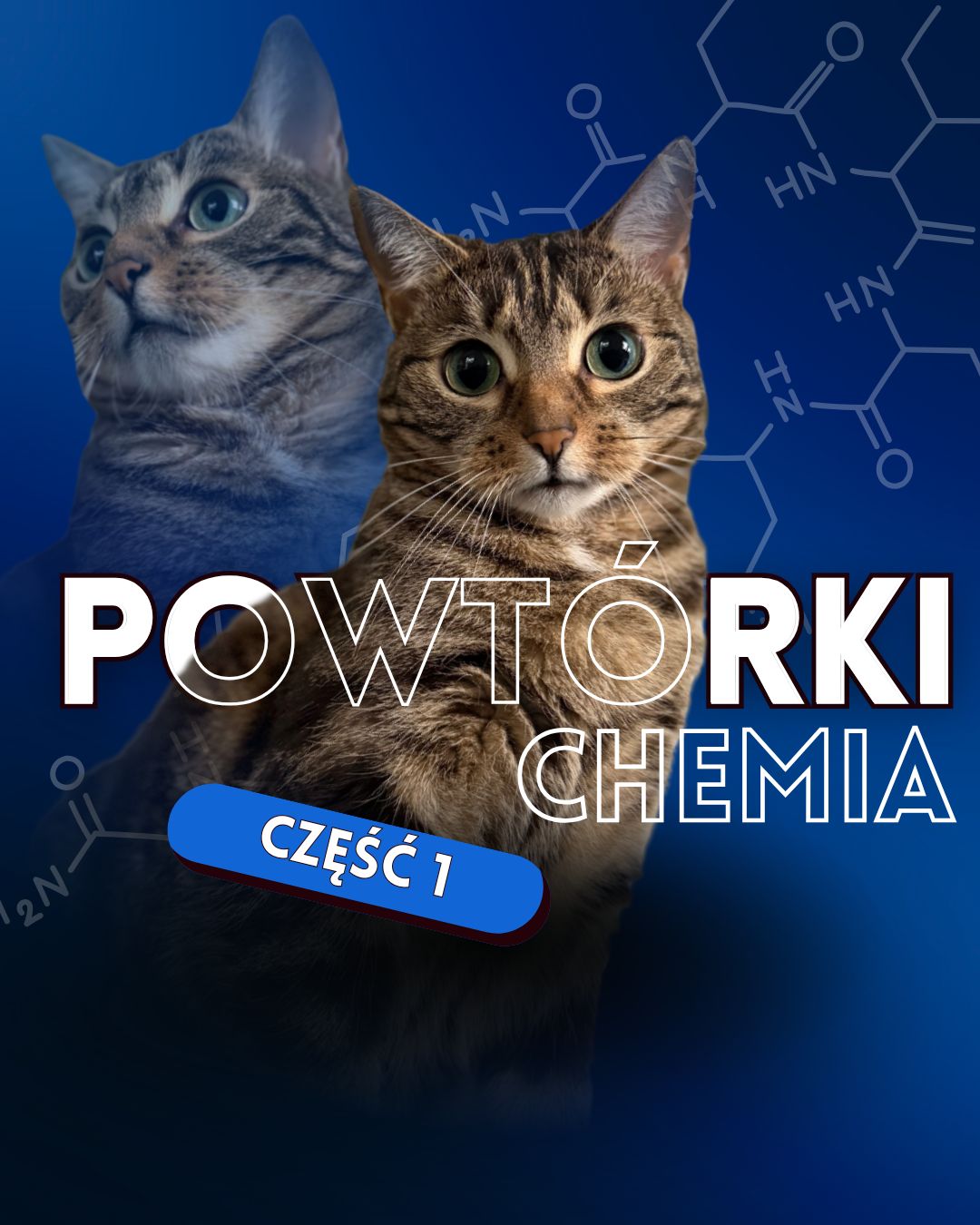 Festiwal chemiczny Spotkanie 1