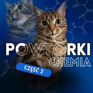 Festiwal chemiczny Spotkanie 2